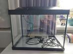 Superfish aquarium start 20 liter kweekbak, Dieren en Toebehoren, Vissen | Aquaria en Toebehoren, Ophalen, Gebruikt, Leeg aquarium