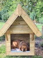 nostalgische geitenhok kippenhok hondenhok, Dieren en Toebehoren, Pluimvee, Vrouwelijk, Kip