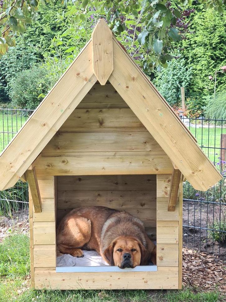 nostalgische geitenhok kippenhok hondenhok, Dieren en Toebehoren, Pluimvee, Kip, Vrouwelijk