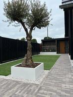 Stalen plantenbakken, Tuin en Terras, Bloembakken en Plantenbakken, Tuin, 100 cm of meer, Nieuw, Ophalen of Verzenden