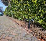 Tuinhulp gezocht, Tuin en Terras, Ophalen of Verzenden, Overige soorten