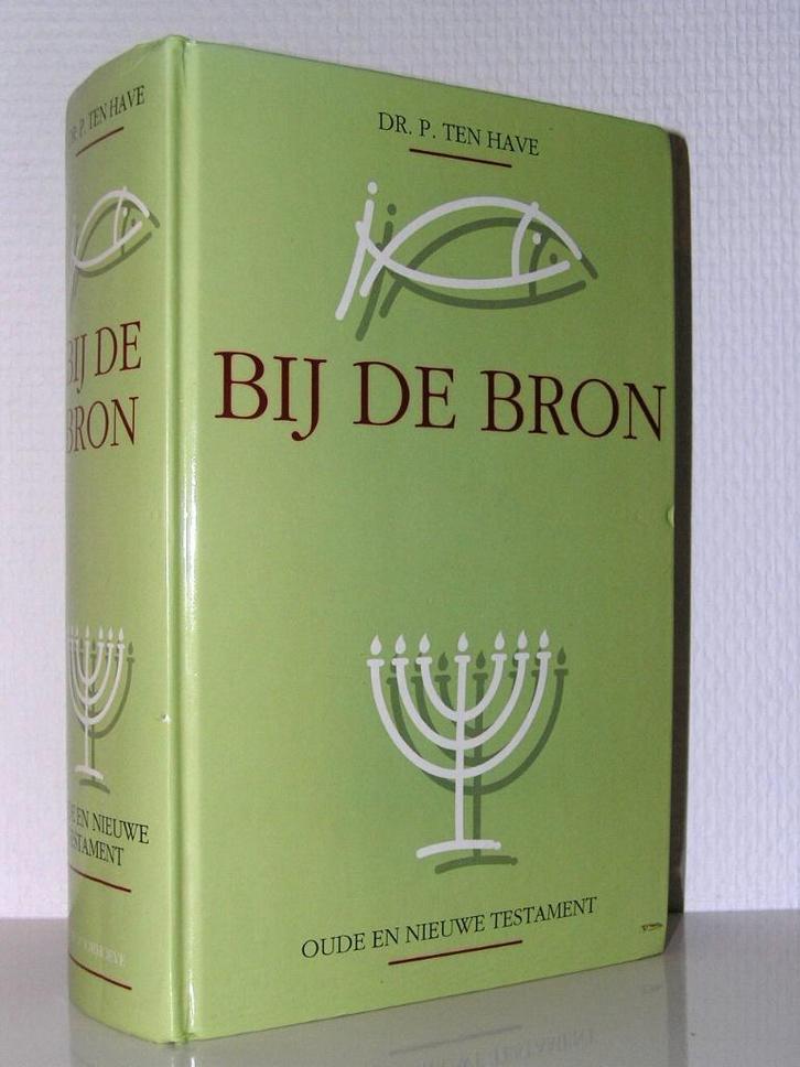 Dr. P. ten Have - Bij de Bron (Oude en Nieuwe Testament), Boeken, Godsdienst en Theologie, Zo goed als nieuw, Christendom | Katholiek