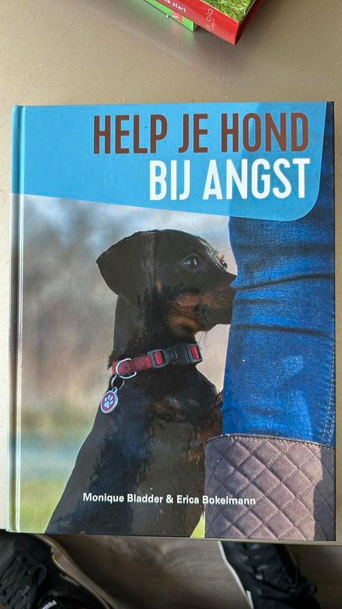 Erica Bokelmann - Help je hond bij angst, Boeken, Dieren en Huisdieren, Nieuw, Honden, Ophalen of Verzenden