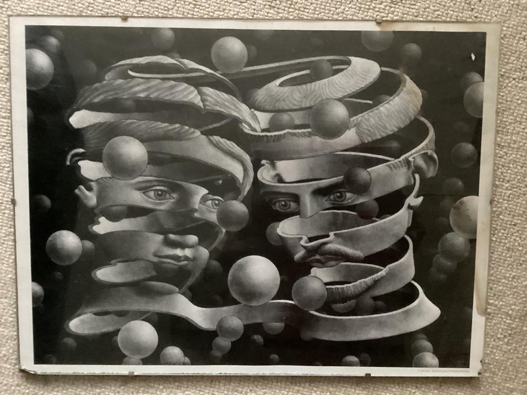 Escher 1956 40x30 cm, Ophalen of Verzenden, Zo goed als nieuw, Minder dan 50 cm, Schilderij