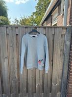 Scotch & soda trui XL, Ophalen of Verzenden, Zo goed als nieuw, Scotch & Soda