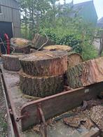 Haardhout populier, Tuin en Terras, Haardhout, Ophalen