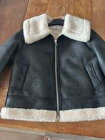 Pilot lammy jacket zwart, Mango, Zwart, Ophalen of Verzenden, Zo goed als nieuw