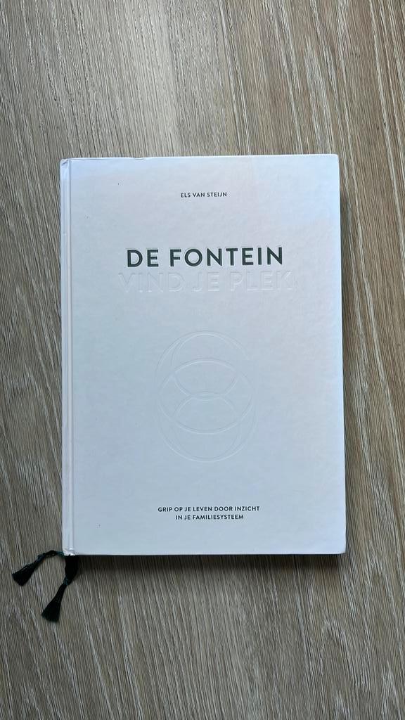 Els van Steijn - De fontein, vind je plek, Boeken, Psychologie, Zo goed als nieuw, Ontwikkelingspsychologie, Ophalen of Verzenden
