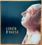 Lebuïn D’Haese, Kunstenaar,boek , zeer veel foto’s, Ophalen of Verzenden, Zo goed als nieuw