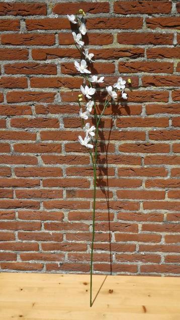 Kunstplant (lange stengel met witte bloemetjes) beschikbaar voor biedingen