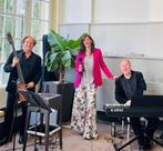 Live achtergrondmuziek voor uw feest, receptie of diner, Band