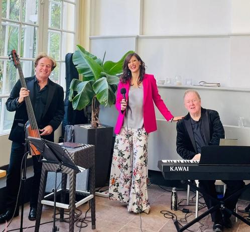 Live achtergrondmuziek voor uw feest, receptie of diner, Diensten en Vakmensen, Muzikanten, Artiesten en Dj's, Band, Solo-artiest