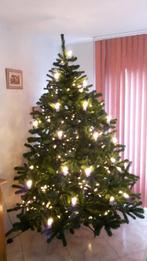 Kerstboom Oslo, Diversen, Kerst, Ophalen, Gebruikt