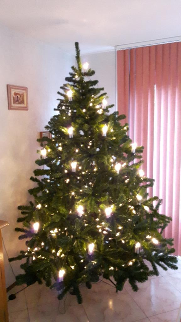 Kerstboom Oslo, Diversen, Kerst, Gebruikt, Ophalen