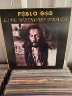 Reggae lp PABLO GAD: LIFE WITHOUT DEATH, Ophalen of Verzenden, 12 inch, Overige soorten