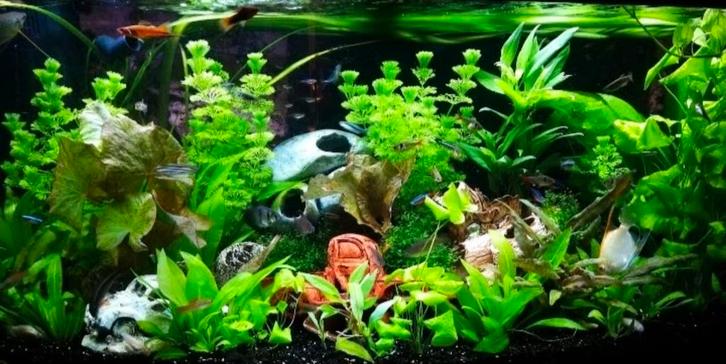 Juwel Vision 180 liter met Helialux day&night verlichting., Dieren en Toebehoren, Vissen | Aquaria en Toebehoren, Leeg aquarium