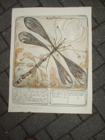 Twee Zink-litho van René Glaser jaren '70 beschikbaar voor biedingen