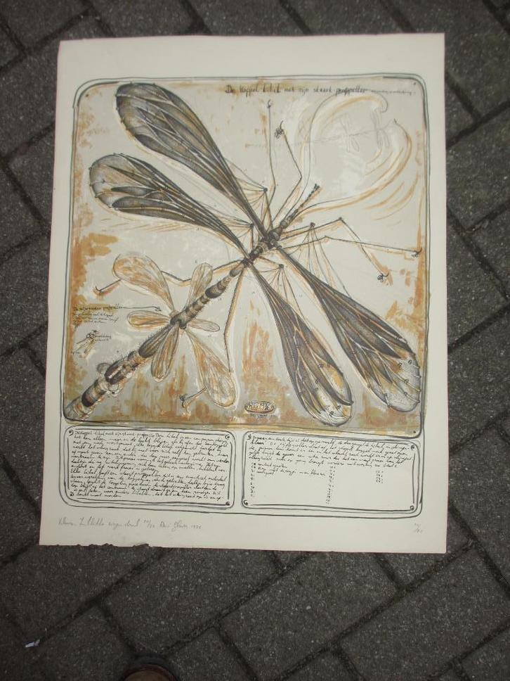 Twee Zink-litho van René Glaser jaren '70, Antiek en Kunst, Kunst | Litho's en Zeefdrukken, Ophalen of Verzenden
