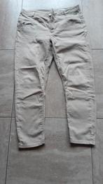 mooie dames broek miss etam, Ophalen of Verzenden, Gedragen, Maat 42/44 (L), Lang