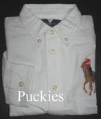 Wit Ralph Lauren big pony overhemd maat 158 *NIEUW*, Overhemd of Blouse, Nieuw, Ophalen of Verzenden, Jongen