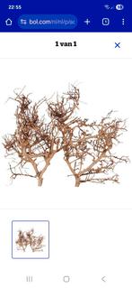 Zie beschrijving, Ophalen of Verzenden, Plant(en), Steen of Hout