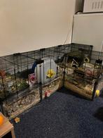 Ferplast hamsterkooi multipla + large, Dieren en Toebehoren, Minder dan 60 cm, Kooi, Gebruikt, Minder dan 75 cm