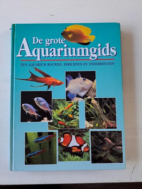 De grote Aquariumgids, Boeken, Dieren en Huisdieren, Zo goed als nieuw, Ophalen of Verzenden