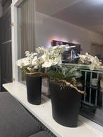 Kunst Orchideeën Set - Zwart, Huis en Inrichting, Ophalen, Nieuw, Binnen