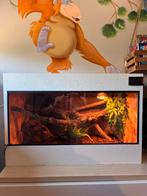 Osb terrarium van 80x50x50, Dieren en Toebehoren, Ophalen, Zo goed als nieuw, Terrarium of Paludarium