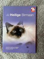 Heilige Birmaan, Ophalen of Verzenden, Zo goed als nieuw, Katten