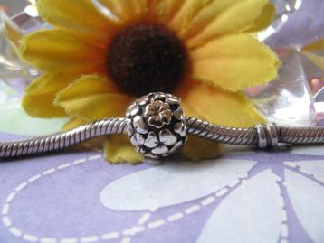 Pandora bedel 790387 = lucky clover 🍀field + 14 krt GOUD beschikbaar voor biedingen