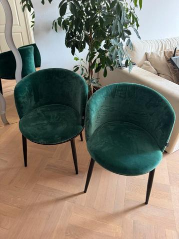 Echholtz filmore eetkamer stoelen