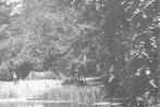963404	Velsen	gem Wandelpark Velserbeek	Mooie Oude kaart onb, Verzamelen, Ansichtkaarten | Nederland, Ophalen of Verzenden, Ongelopen