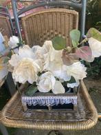 DROOGBLOEMEN, Ophalen of Verzenden, Nieuw