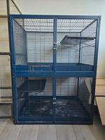 Savic royal suite 95, Dieren en Toebehoren, Knaagdieren, Rat