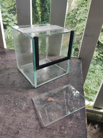 Terrarium 16 x 16 x 16 cm beschikbaar voor biedingen