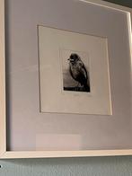 Etsen van Haye Gemser, Ophalen