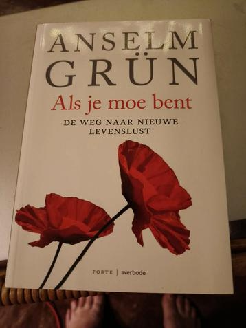 Anselm Grun - Als je moe bent beschikbaar voor biedingen