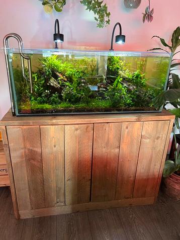 Aquarium met kast, verlichting en filter | 200L beschikbaar voor biedingen