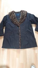 Winterjas, merk Alexon, Kleding | Dames, Jasjes, Kostuums en Pakken, Ophalen, Zo goed als nieuw, Maat 38/40 (M)