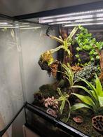 Exo terrara Terrarium 45*45*60, Dieren en Toebehoren, Reptielen en Amfibieën | Toebehoren, Ophalen of Verzenden, Zo goed als nieuw