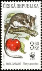 1996 Tsjechië Fauna Bescherming van de natuur wnf, Ophalen of Verzenden, Dier of Natuur, Postfris