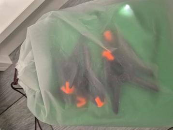 Greenscreen doek beschikbaar voor biedingen