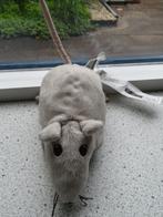 Dikke Rat muis van IKEA Gosig Ratta grijs velours, Kinderen en Baby's, Speelgoed | Knuffels en Pluche, Ophalen of Verzenden, Nieuw