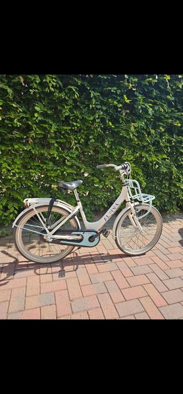 Alpina Chubb 24 Inch beschikbaar voor biedingen