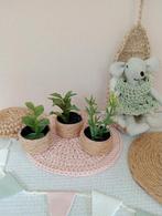 Plantje plantjes voor poppenhuis/muizenhuis, Ophalen of Verzenden, Nieuw, Poppenhuis