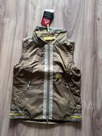 Euro-Star bodywarmer nieuw waterproof. Windproof M, Dieren en Toebehoren, Paardrijkleding, Ophalen of Verzenden, Dames, Bovenkleding