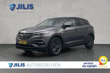 Opel Grandland X 1.2 Turbo 120 Jaar Edition | Cruise control beschikbaar voor biedingen