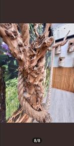 Granaatappelboom voor papegaaien of parkieten, Ophalen