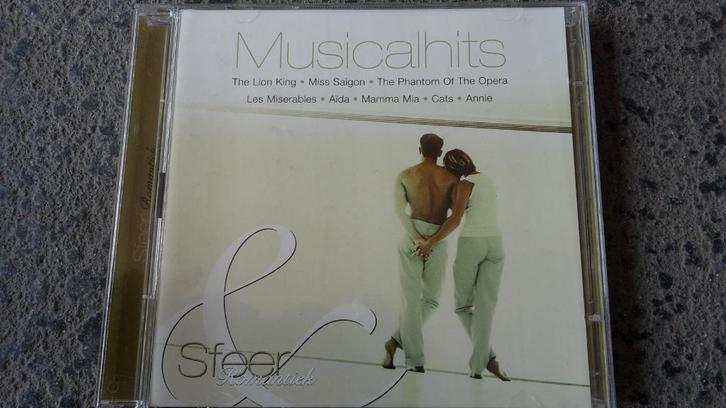 2CD Sfeer & Romantiek Musicalhits Musical hits, Cd's en Dvd's, Cd's | Verzamelalbums, Zo goed als nieuw, Filmmuziek en Soundtracks